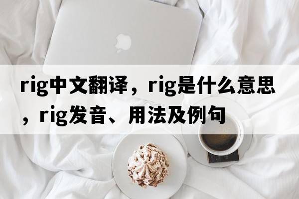 rig中文翻譯，rig是什么意思，rig發(fā)音、用法及例句