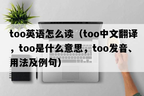 too英語怎么讀（too中文翻譯，too是什么意思，too發(fā)音、用法及例句）