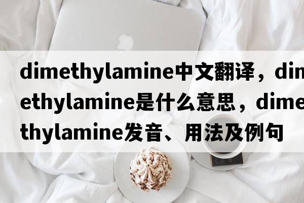 dimethylamine中文翻譯，dimethylamine是什么意思，dimethylamine發(fā)音、用法及例句