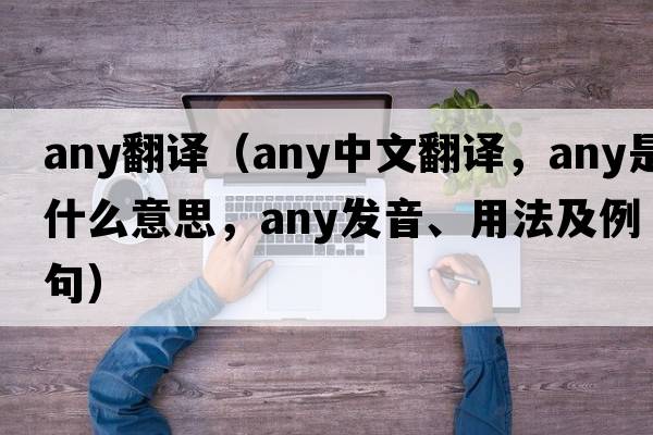 any翻譯（any中文翻譯，any是什么意思，any發(fā)音、用法及例句）