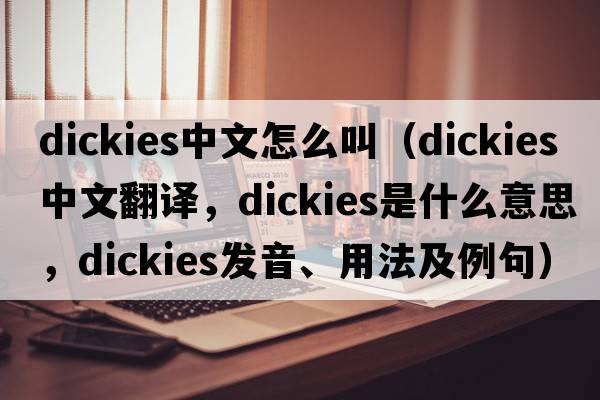 dickies中文怎么叫（dickies中文翻譯，dickies是什么意思，dickies發(fā)音、用法及例句）