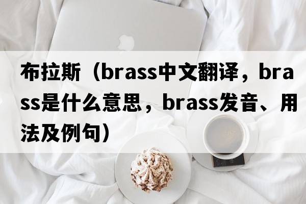 布拉斯（brass中文翻譯，brass是什么意思，brass發(fā)音、用法及例句）