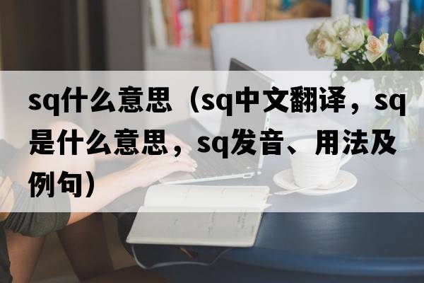 sq什么意思（sq中文翻譯，sq是什么意思，sq發(fā)音、用法及例句）