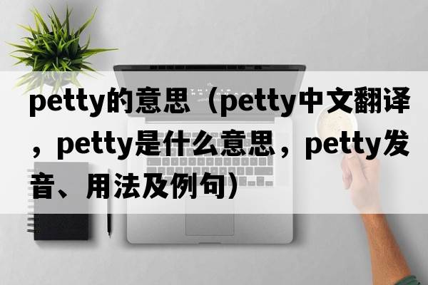 petty的意思（petty中文翻譯，petty是什么意思，petty發(fā)音、用法及例句）