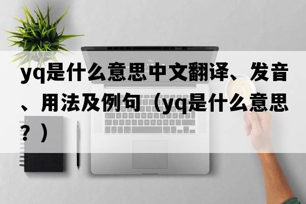 Yq是什么意思中文翻譯、發(fā)音、用法及例句（yq是什么意思？）