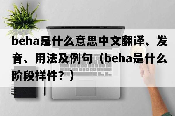 BEHA是什么意思中文翻譯、發(fā)音、用法及例句（beha是什么階段樣件？）