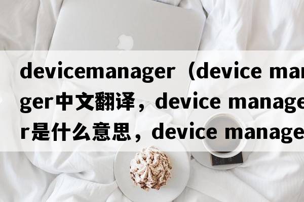 devicemanager（device manager中文翻譯，device manager是什么意思，device manager發(fā)音、用法及例句）
