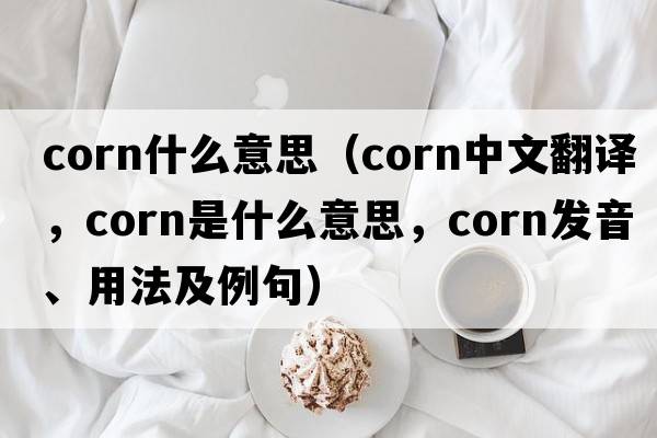 corn什么意思（corn中文翻譯，corn是什么意思，corn發(fā)音、用法及例句）