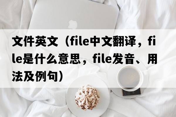 文件英文（file中文翻譯，file是什么意思，file發(fā)音、用法及例句）
