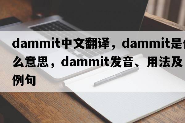 dammit中文翻譯，dammit是什么意思，dammit發(fā)音、用法及例句