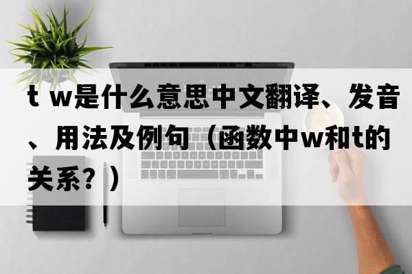 t w是什么意思中文翻譯、發(fā)音、用法及例句（函數(shù)中w和t的關(guān)系？）