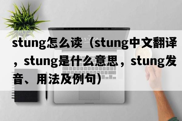 stung怎么讀（stung中文翻譯，stung是什么意思，stung發(fā)音、用法及例句）