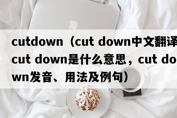 cutdown（cut down中文翻譯，cut down是什么意思，cut down發(fā)音、用法及例句）