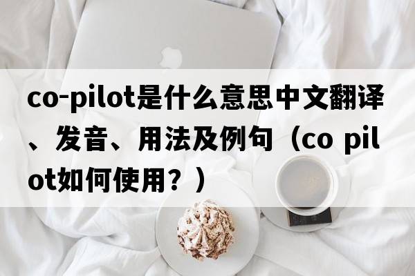 co-pilot是什么意思中文翻譯、發(fā)音、用法及例句（co pilot如何使用？）