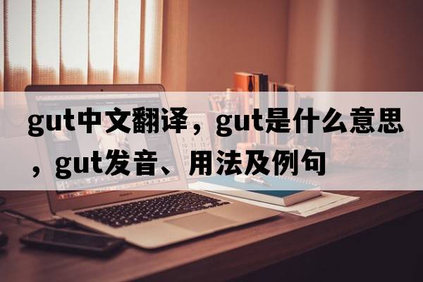 gut中文翻譯，gut是什么意思，gut發(fā)音、用法及例句