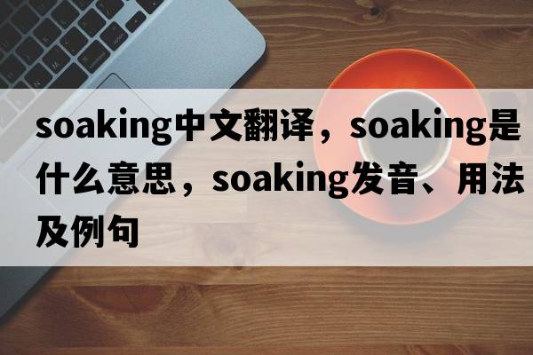 soaking中文翻譯，soaking是什么意思，soaking發(fā)音、用法及例句