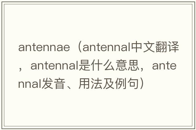 antennae（antennal中文翻譯，antennal是什么意思，antennal發(fā)音、用法及例句）