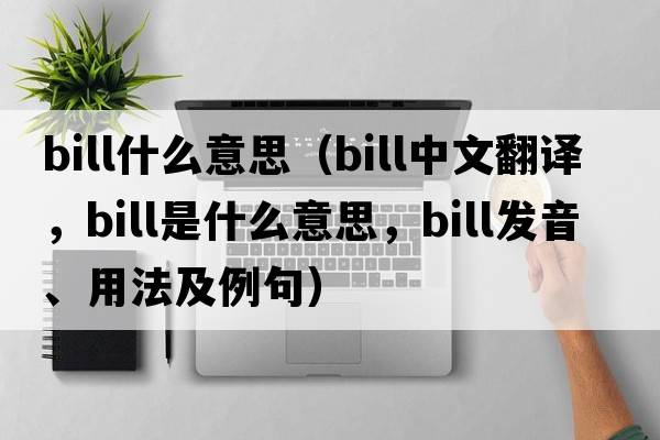 bill什么意思（bill中文翻譯，bill是什么意思，bill發(fā)音、用法及例句）