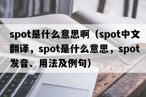 spot是什么意思啊（spot中文翻譯，spot是什么意思，spot發(fā)音、用法及例句）
