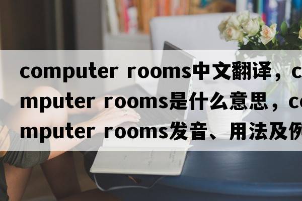 computer rooms中文翻譯，computer rooms是什么意思，computer rooms發(fā)音、用法及例句