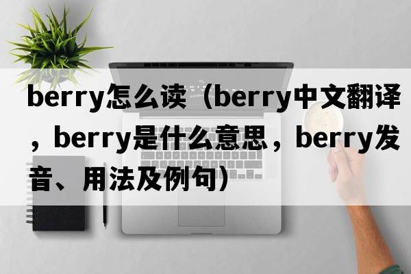 berry怎么讀（berry中文翻譯，berry是什么意思，berry發(fā)音、用法及例句）