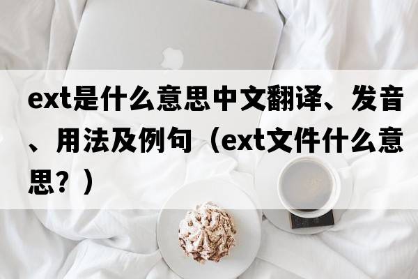 ext是什么意思中文翻譯、發(fā)音、用法及例句（ext文件什么意思？）