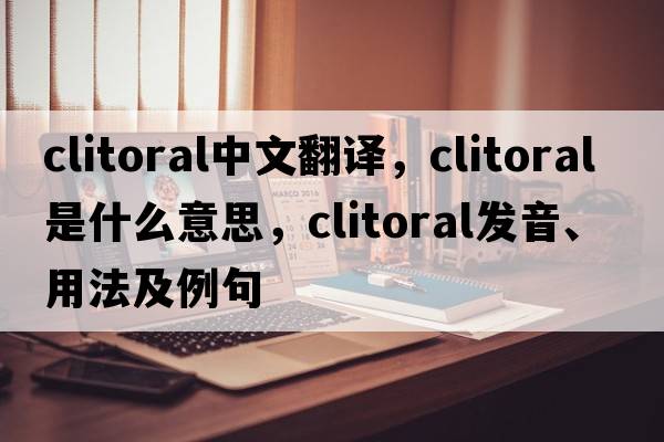 clitoral中文翻譯，clitoral是什么意思，clitoral發(fā)音、用法及例句