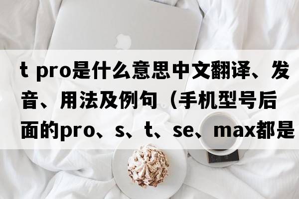 t pro是什么意思中文翻譯、發(fā)音、用法及例句（手機型號后面的Pro、S、T、SE、Max都是什么意思？）