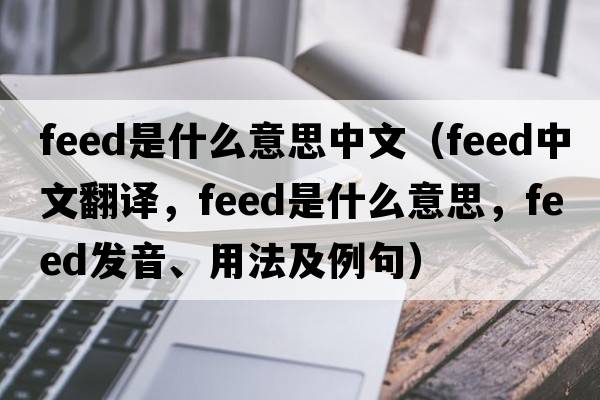 feed是什么意思中文（feed中文翻譯，feed是什么意思，feed發(fā)音、用法及例句）