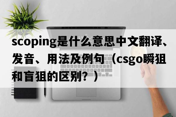 scoping是什么意思中文翻譯、發(fā)音、用法及例句（csgo瞬狙和盲狙的區(qū)別？）