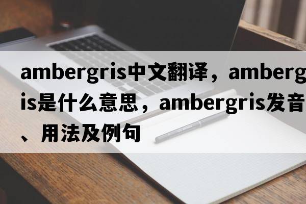 ambergris中文翻譯，ambergris是什么意思，ambergris發(fā)音、用法及例句