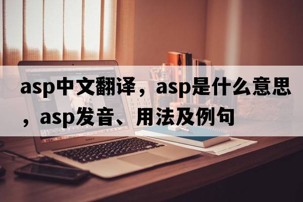 asp中文翻譯，asp是什么意思，asp發(fā)音、用法及例句