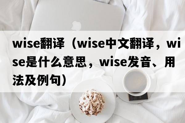 wise翻譯（wise中文翻譯，wise是什么意思，wise發(fā)音、用法及例句）