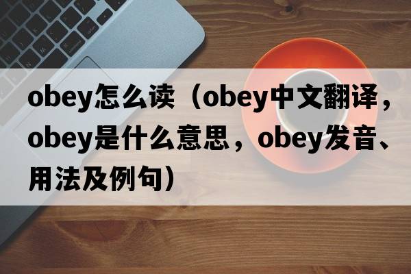 obey怎么讀（obey中文翻譯，obey是什么意思，obey發(fā)音、用法及例句）