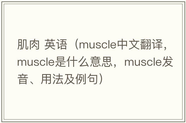 肌肉 英語(yǔ)（muscle中文翻譯，muscle是什么意思，muscle發(fā)音、用法及例句）