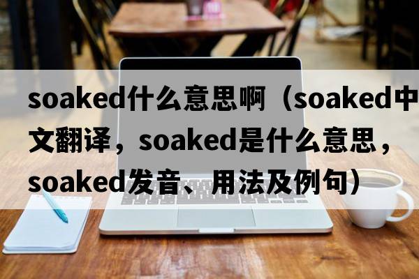 soaked什么意思?。╯oaked中文翻譯，soaked是什么意思，soaked發(fā)音、用法及例句）
