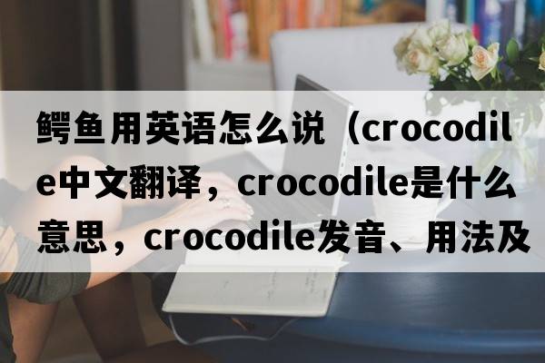 鱷魚用英語怎么說（crocodile中文翻譯，crocodile是什么意思，crocodile發(fā)音、用法及例句）