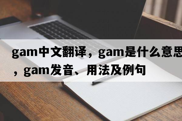gam中文翻譯，gam是什么意思，gam發(fā)音、用法及例句