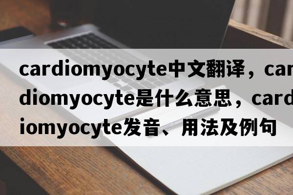 cardiomyocyte中文翻譯，cardiomyocyte是什么意思，cardiomyocyte發(fā)音、用法及例句
