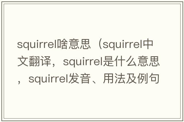 squirrel啥意思（squirrel中文翻譯，squirrel是什么意思，squirrel發(fā)音、用法及例句）