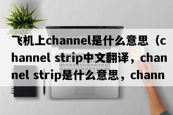 飛機(jī)上channel是什么意思（channel strip中文翻譯，channel strip是什么意思，channel strip發(fā)音、用法及例句）