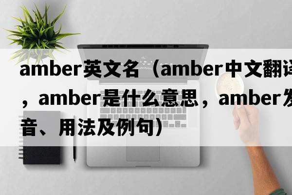 amber英文名（amber中文翻譯，amber是什么意思，amber發(fā)音、用法及例句）