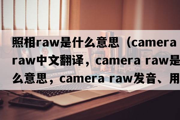 照相raw是什么意思（camera raw中文翻譯，camera raw是什么意思，camera raw發(fā)音、用法及例句）