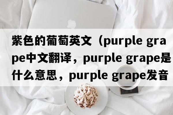紫色的葡萄英文（purple grape中文翻譯，purple grape是什么意思，purple grape發(fā)音、用法及例句）