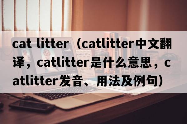 cat litter（catlitter中文翻譯，catlitter是什么意思，catlitter發(fā)音、用法及例句）