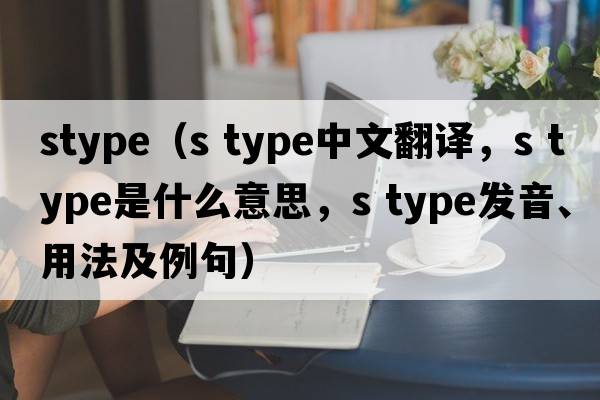 stype（s type中文翻譯，s type是什么意思，s type發(fā)音、用法及例句）