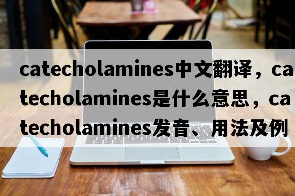 catecholamines中文翻譯，catecholamines是什么意思，catecholamines發(fā)音、用法及例句