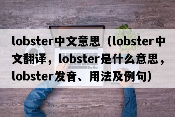 lobster中文意思（lobster中文翻譯，lobster是什么意思，lobster發(fā)音、用法及例句）