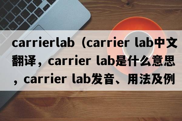 carrierlab（carrier lab中文翻譯，carrier lab是什么意思，carrier lab發(fā)音、用法及例句）