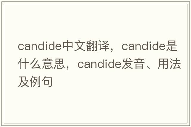 candide中文翻譯，candide是什么意思，candide發(fā)音、用法及例句
